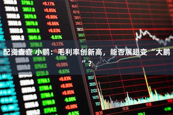 配资查查 小鹏：毛利率创新高，能否展翅变 “大鹏”？