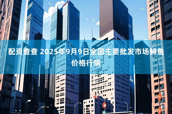配资查查 2025年9月9日全国主要批发市场鲟鱼价格行情