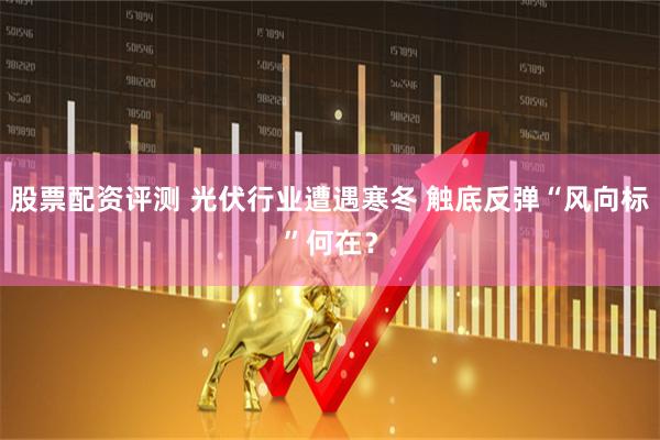 股票配资评测 光伏行业遭遇寒冬 触底反弹“风向标”何在？